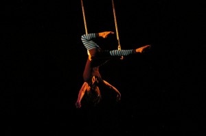 trapeze artist trapeze artist