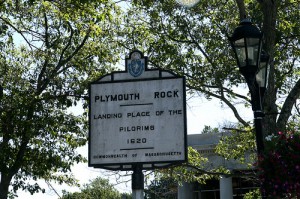 Plymouth rock Plymouth rock