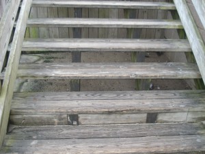 Boardwalk steps